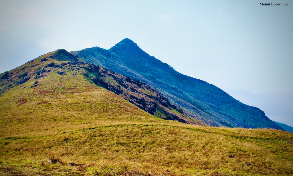 Wayanad: A Photojourney