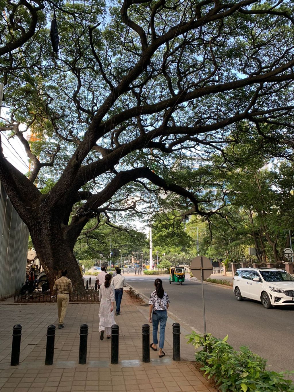 Hit the road,&nbsp;Jack!